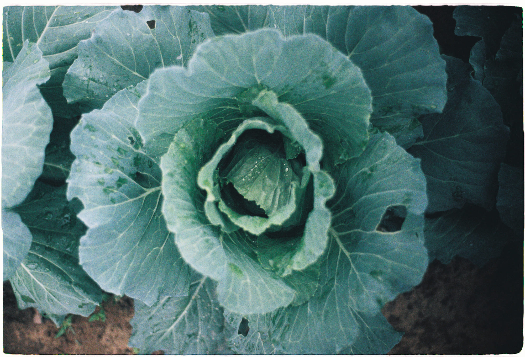 Những thí nghiệm tư tưởng kiểm tra cuộc sống của bạn