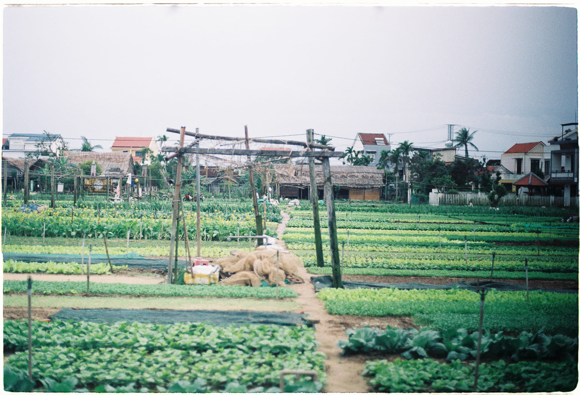 Danh sách theo thẻ bài vu-tru