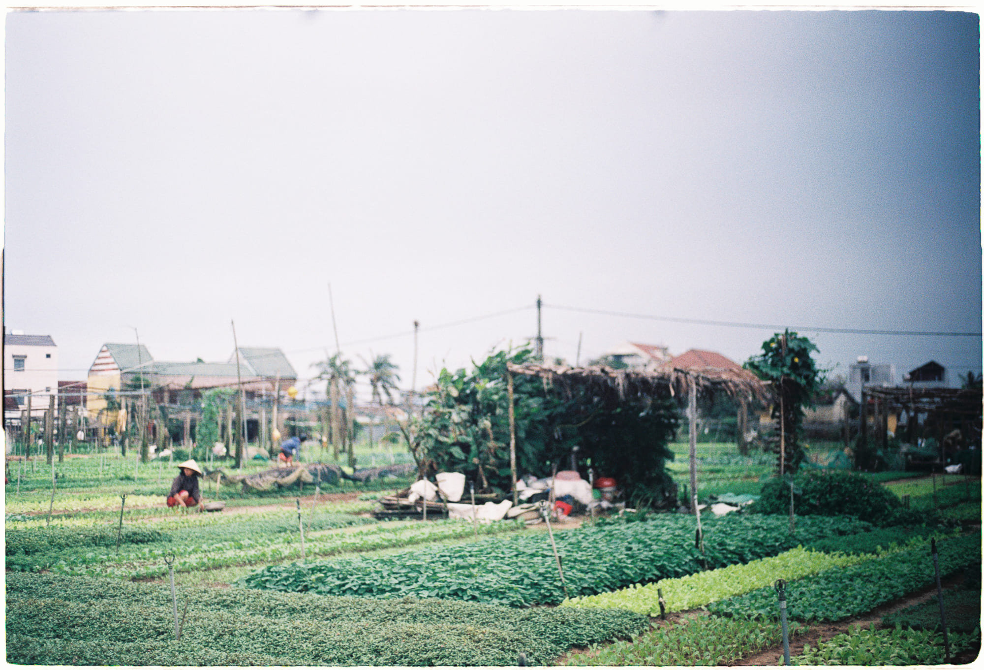 Trung tâm phát triển văn hóa đọc Nhà văn