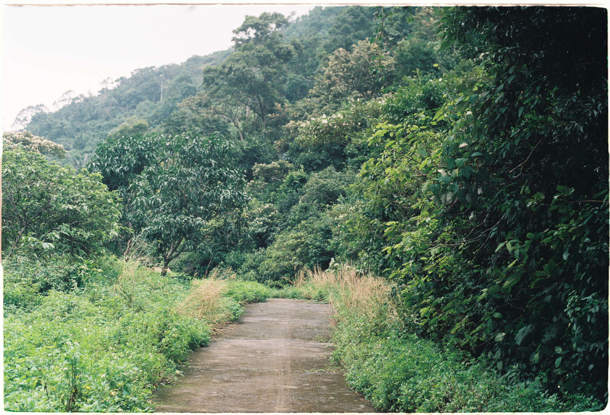 Trung tâm phát triển văn hóa đọc Nhà văn