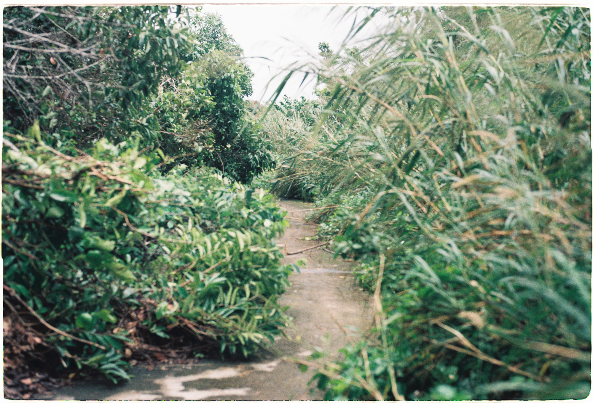 Bạn tự tin đến mức nào trong việc đưa ra quyết định? 243 – tam ly hoc, tam than hoc, tu duy nhan thuc, nhan thuc quyet dinh.