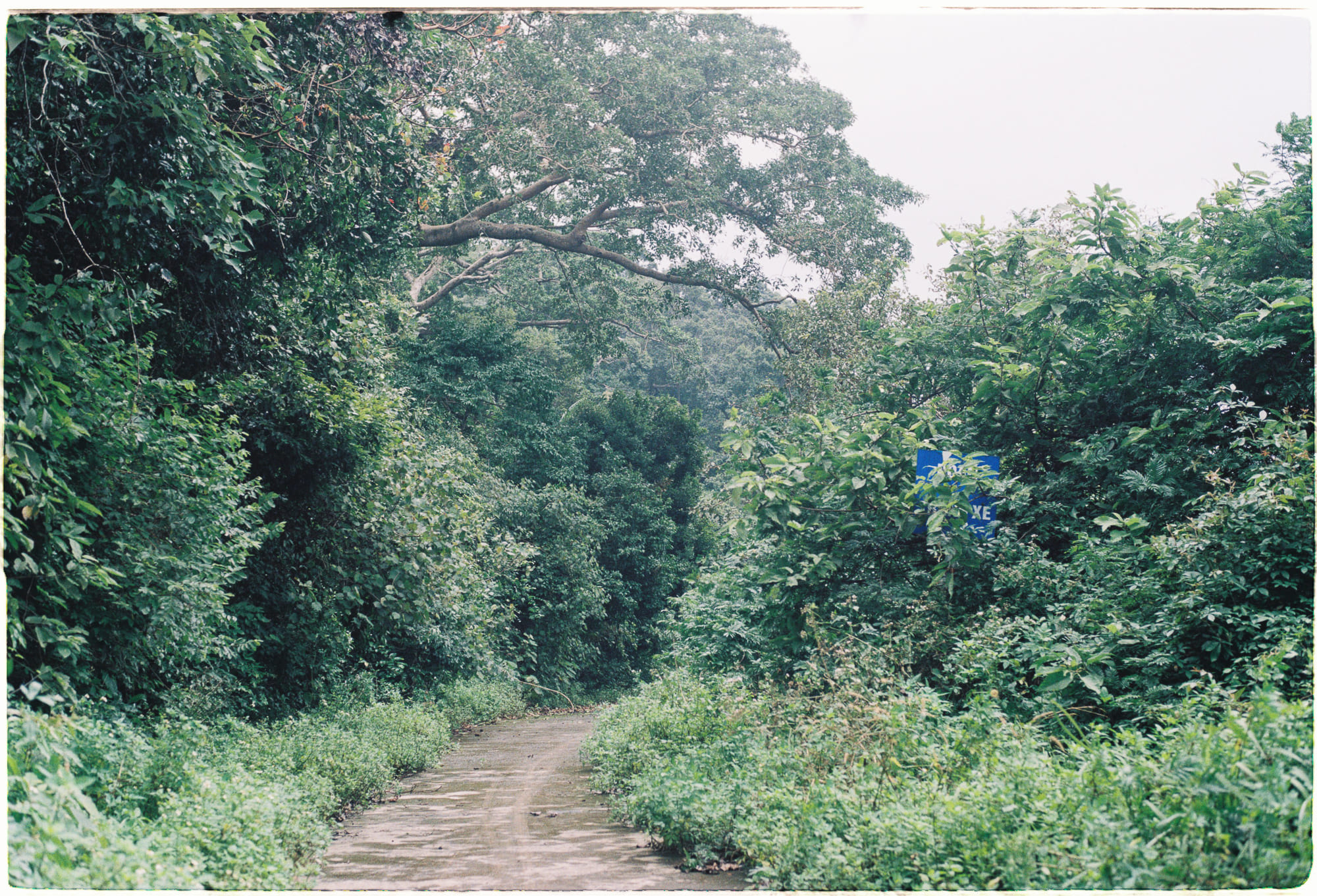 Trung tâm phát triển văn hóa đọc Nhà văn