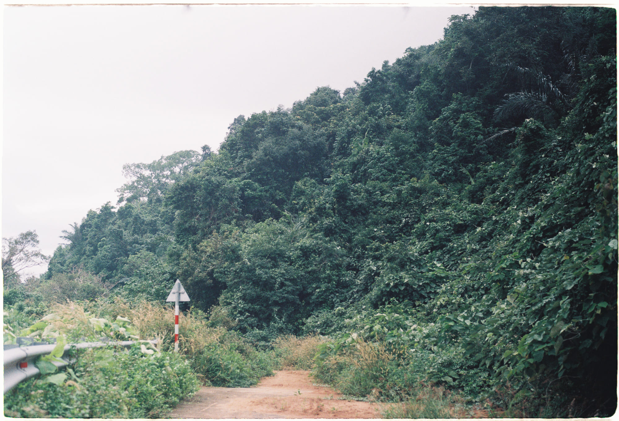 Để hiểu về đời sống nội tâm của loài vật 024 – tam ly hoc, triet hoc, xa hoi hoc, khung hoang xa hoi, tam ly dong vat, dong vat noi tam.