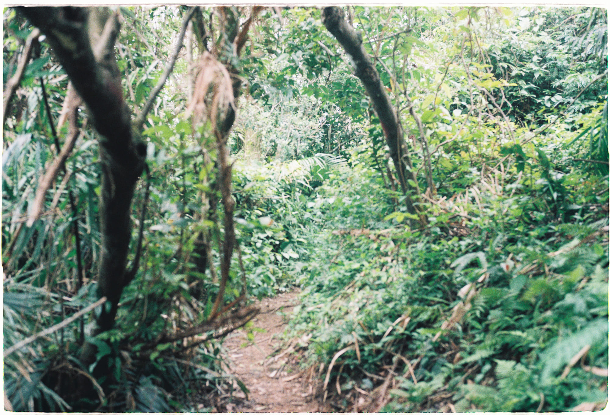 Diễn từ Nobel Văn học 2000 – Lý lẽ cho văn học, Cao Hành Kiện