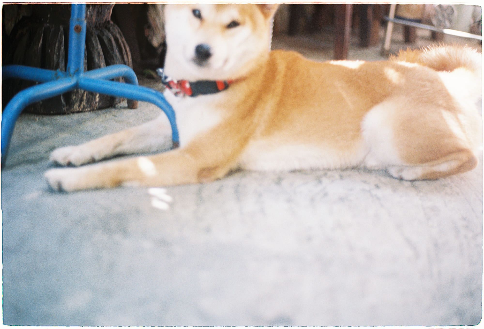 Tuổi trẻ này, đẹp nhất là những ngày nào? Tuổi trẻ này, đẹp nhất là những ngày nào? 786 – viet lach, doan van, trai nghiem, hanh trinh tuoi tre, bai hoc cuoi nam, bai hoc cuoi nam 2018, hue.