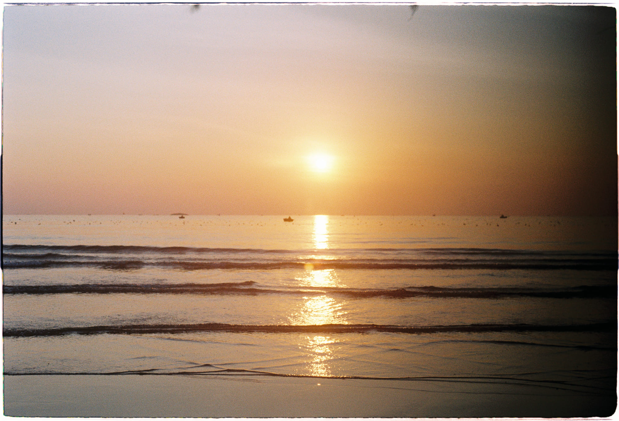 Đời sống xã hội bí ẩn của cây cối Đời sống xã hội bí ẩn của cây cối 664 – khoa hoc, thuc vat, xa hoi hoc, doi song xa hoi, cay coi, rung, doi song bi an cua cay, doi song cay coi, xa hoi cay coi.