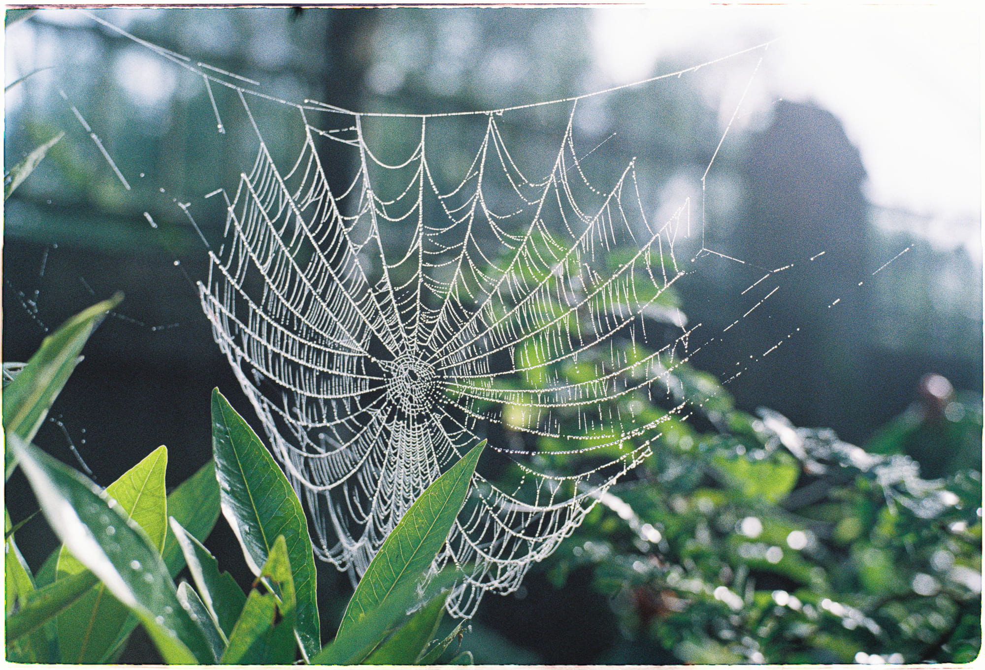 Khổng Tử và Aristotle dạy về đạo đức