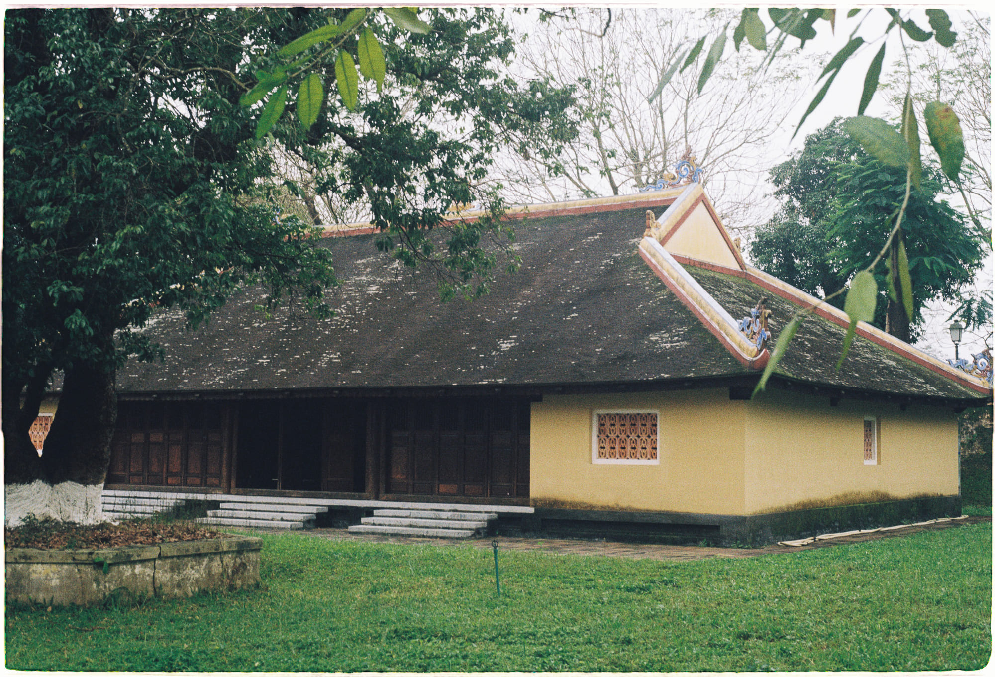 6 cách đơn giản để chuyển sang chế độ ăn thuần chay