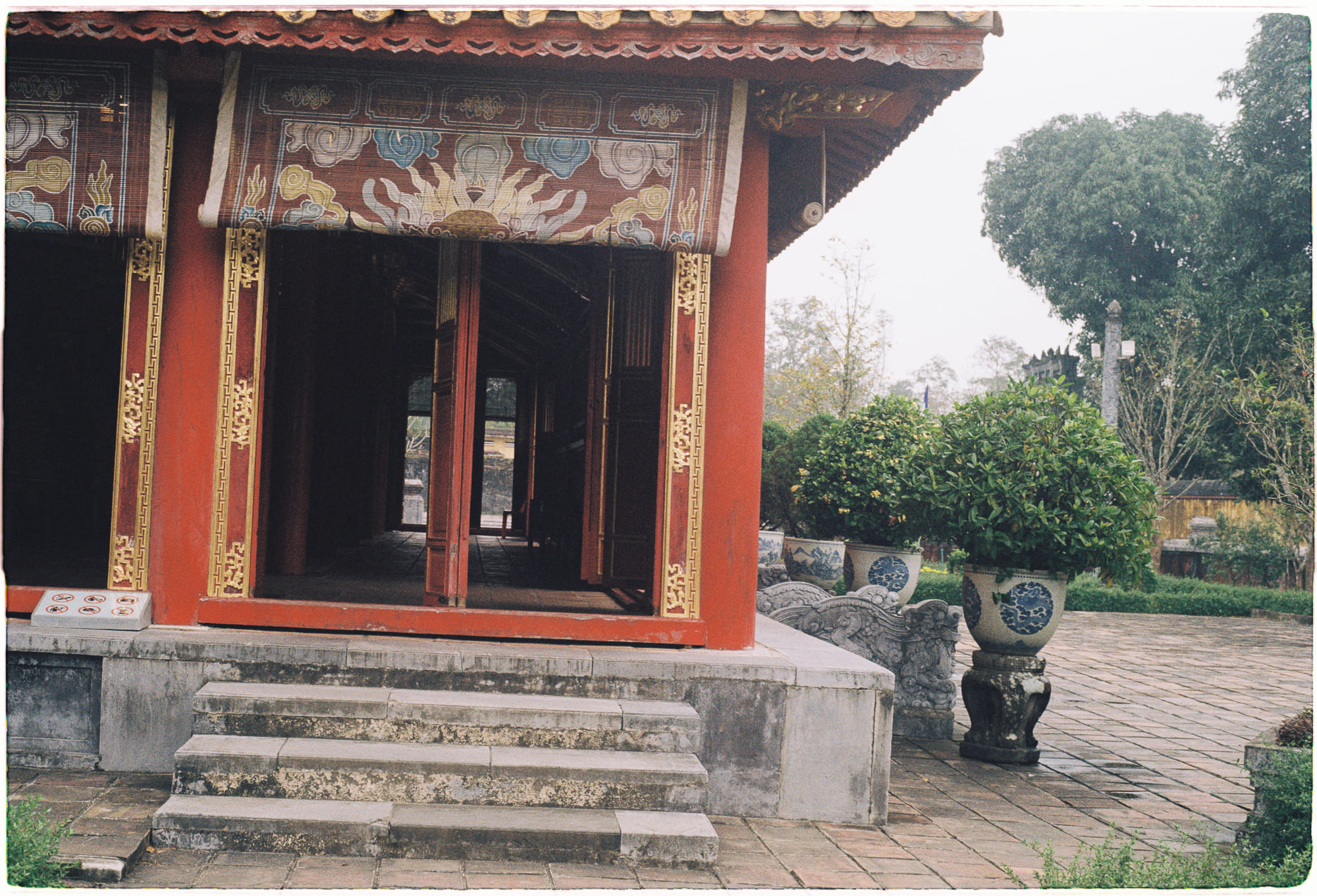 Cây phát sinh loài dựa trên hình thái sai lầm Cây phát sinh loài dựa trên hình thái sai lầm 750 – khoa hoc, tien hoa, thien nhien, thuc vat, cay phai sinh loai.