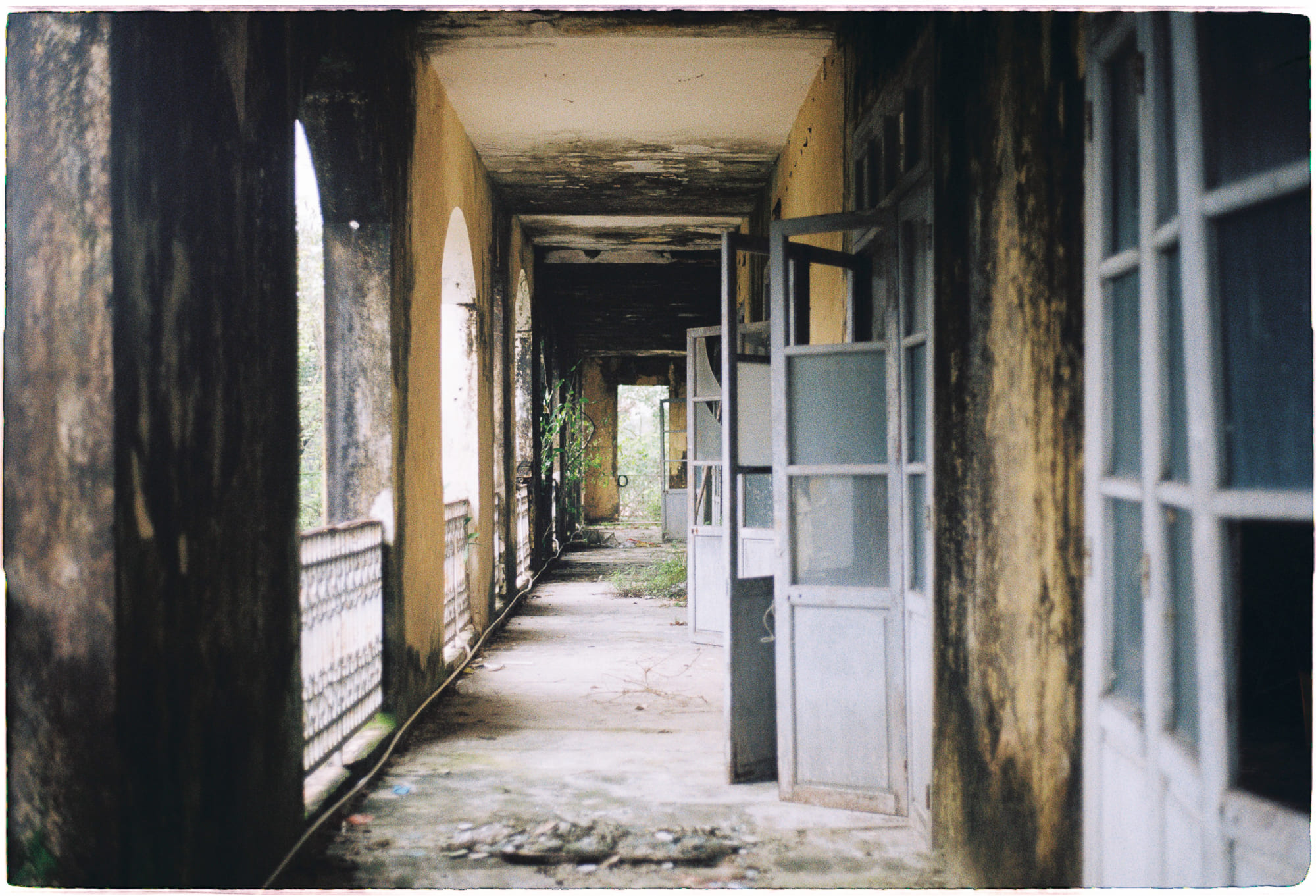 Về trường hợp bầy cáo tiến hóa của Darwin