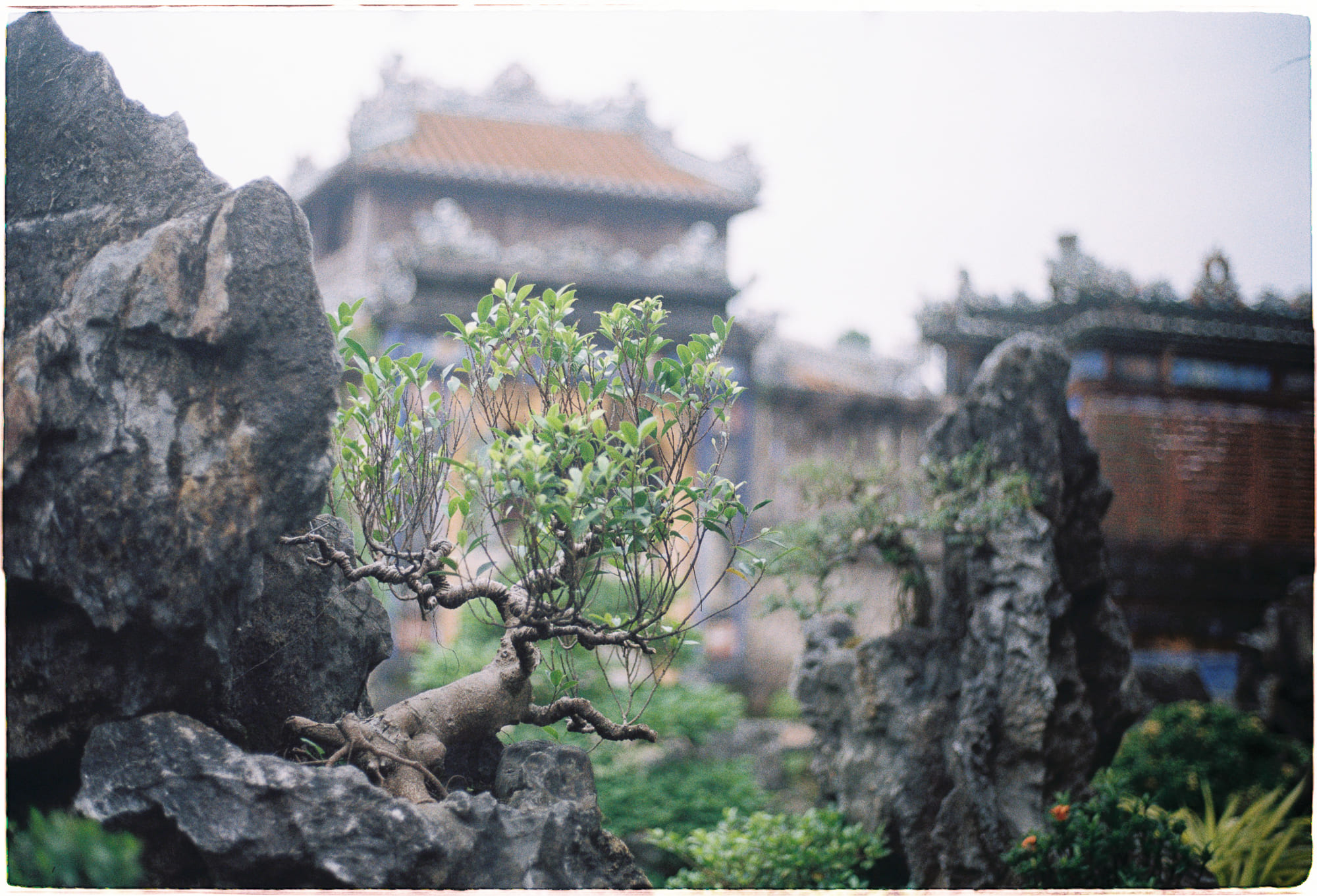 Tứ niệm xứ (Satipaṭṭhāna – 四念處) là gì?