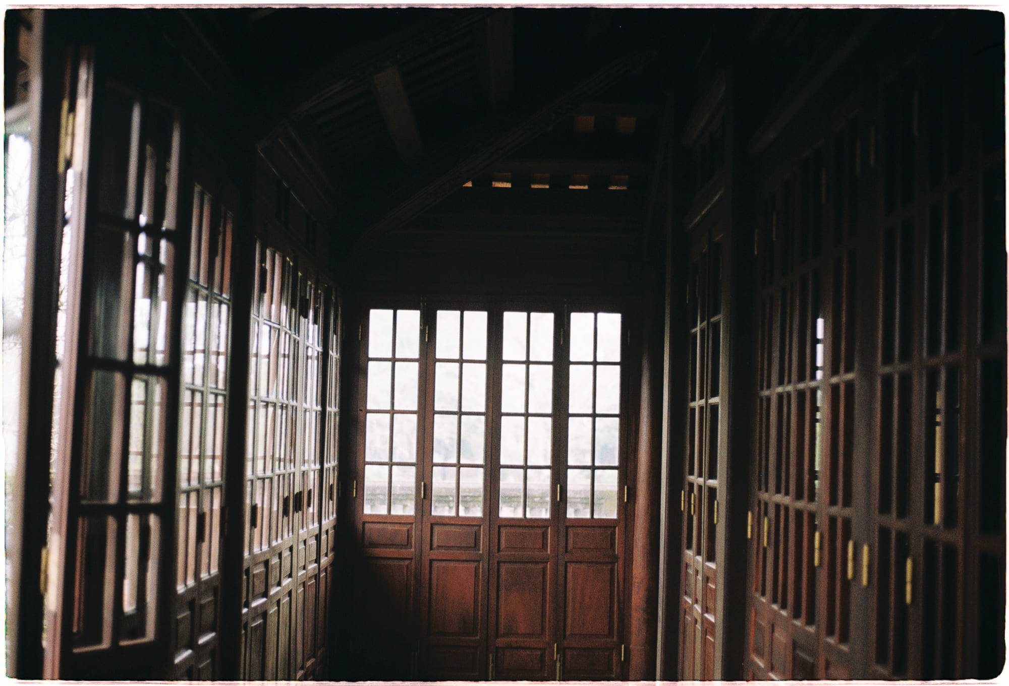 Cây bắt ruồi Venus và hiểu biết về ý thức