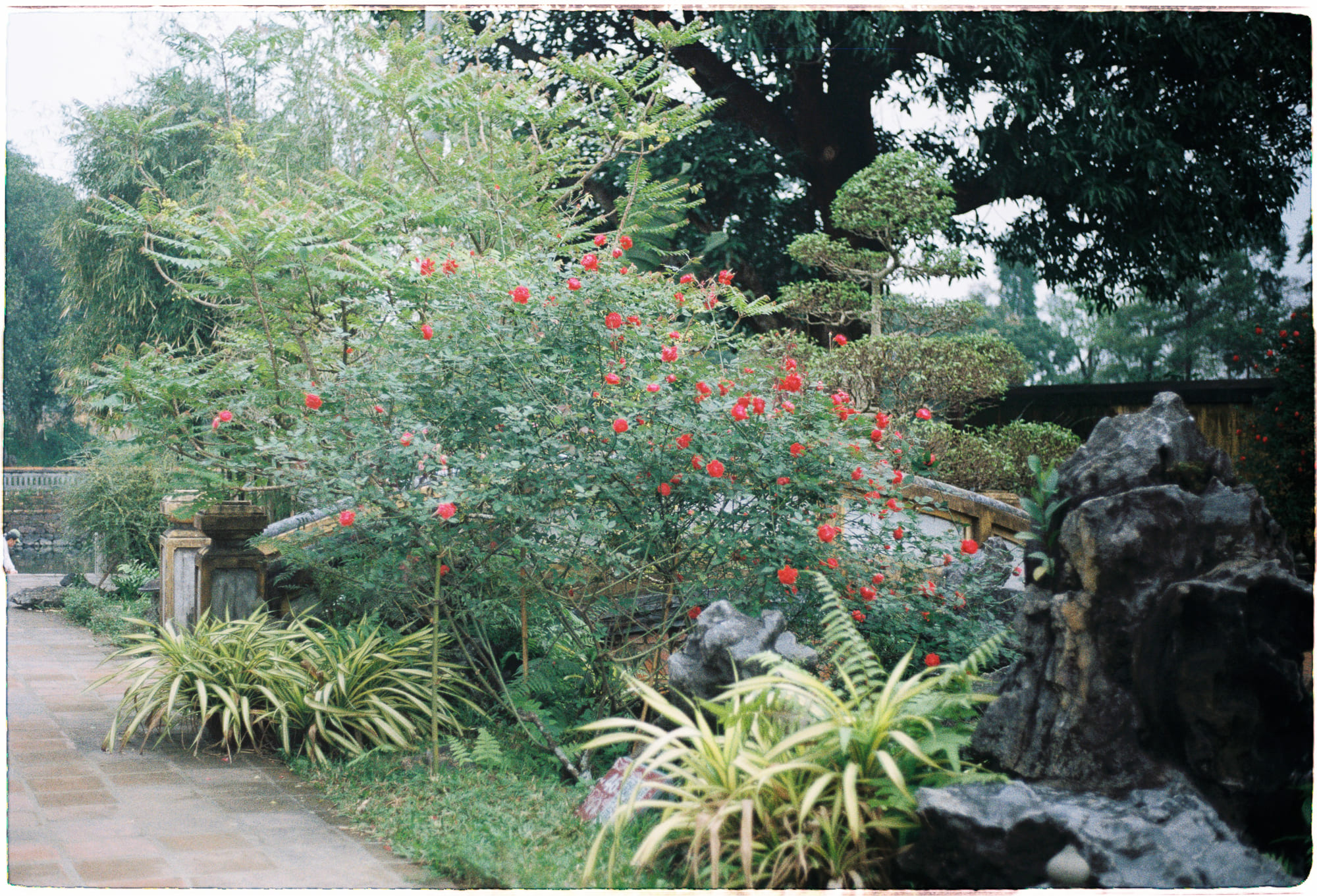 10 sách triết học phát triển góc nhìn siêu hình