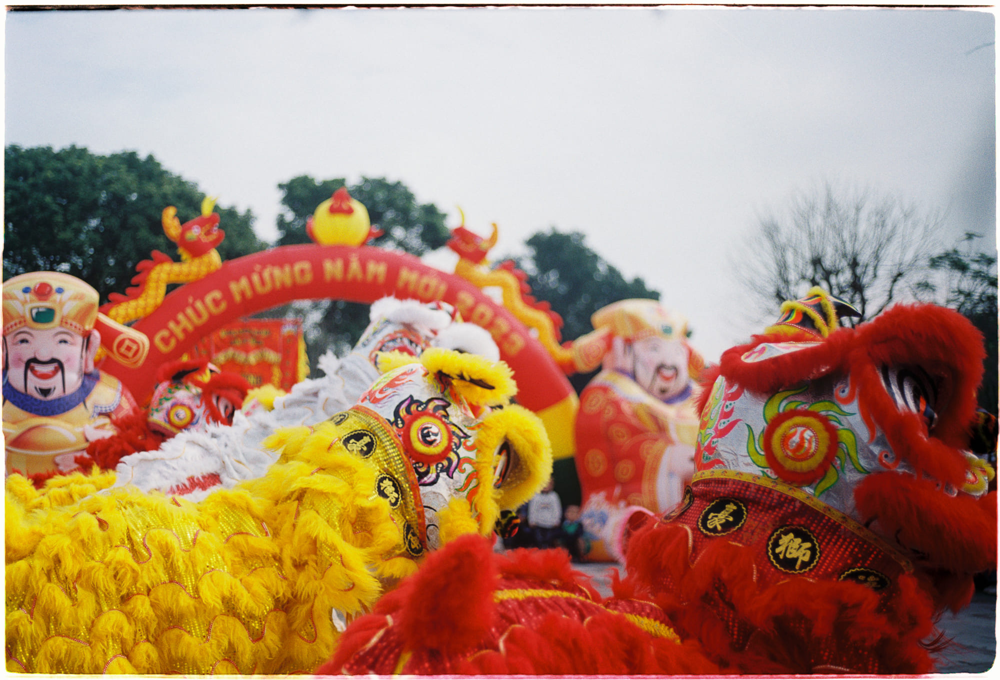 Điều gì sẽ xảy ra nếu chúng ta dung nạp bệnh tật?