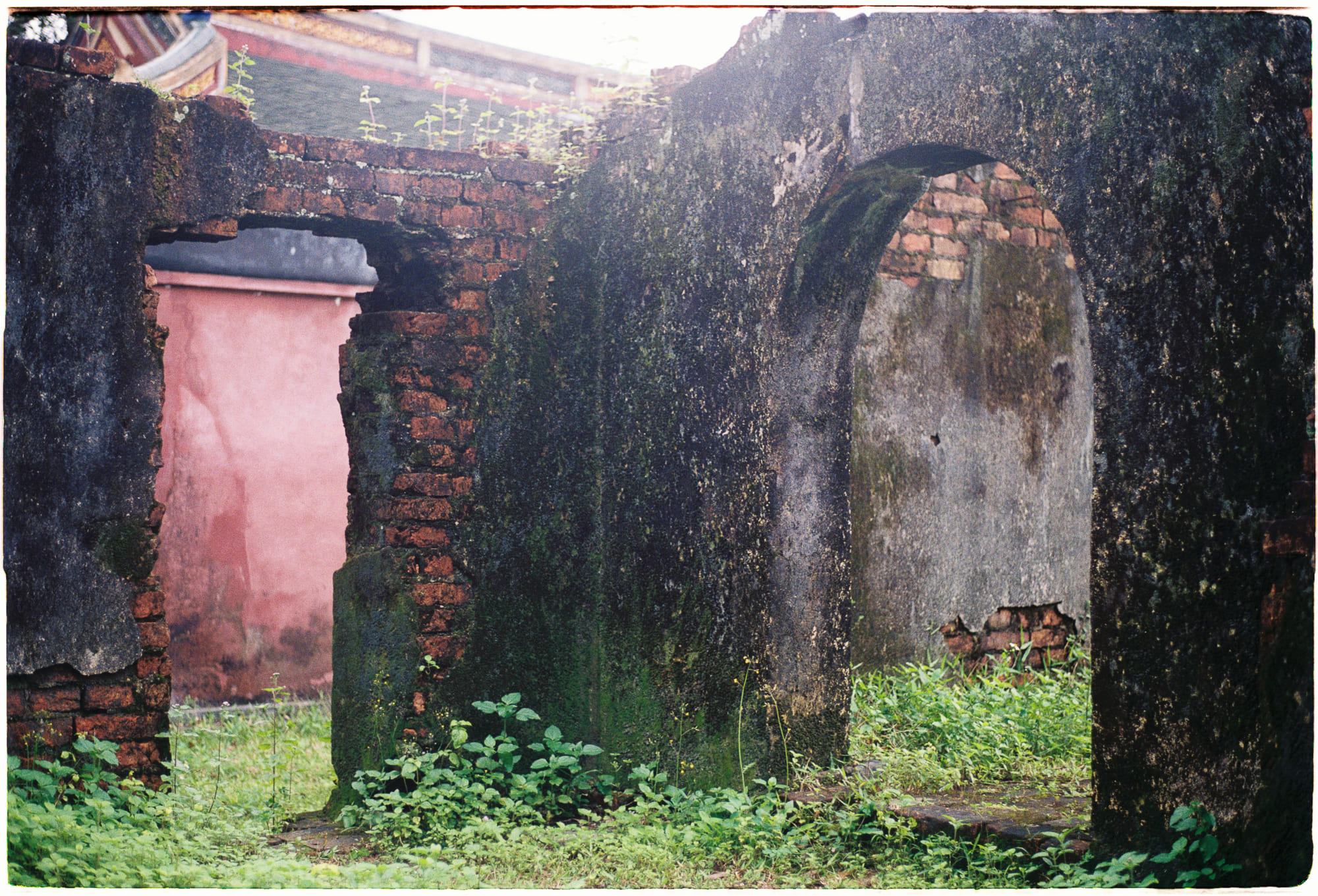 Đại dương đổi màu sắc vào cuối thế kỷ XXI 694 – khoa hoc, sinh hoc, dai duong, sac mau dai duong.