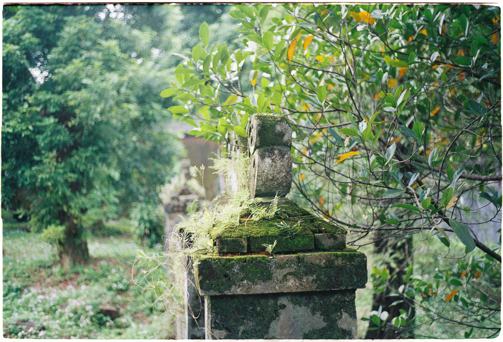 7 kiệt tác văn chương khó để đọc xong