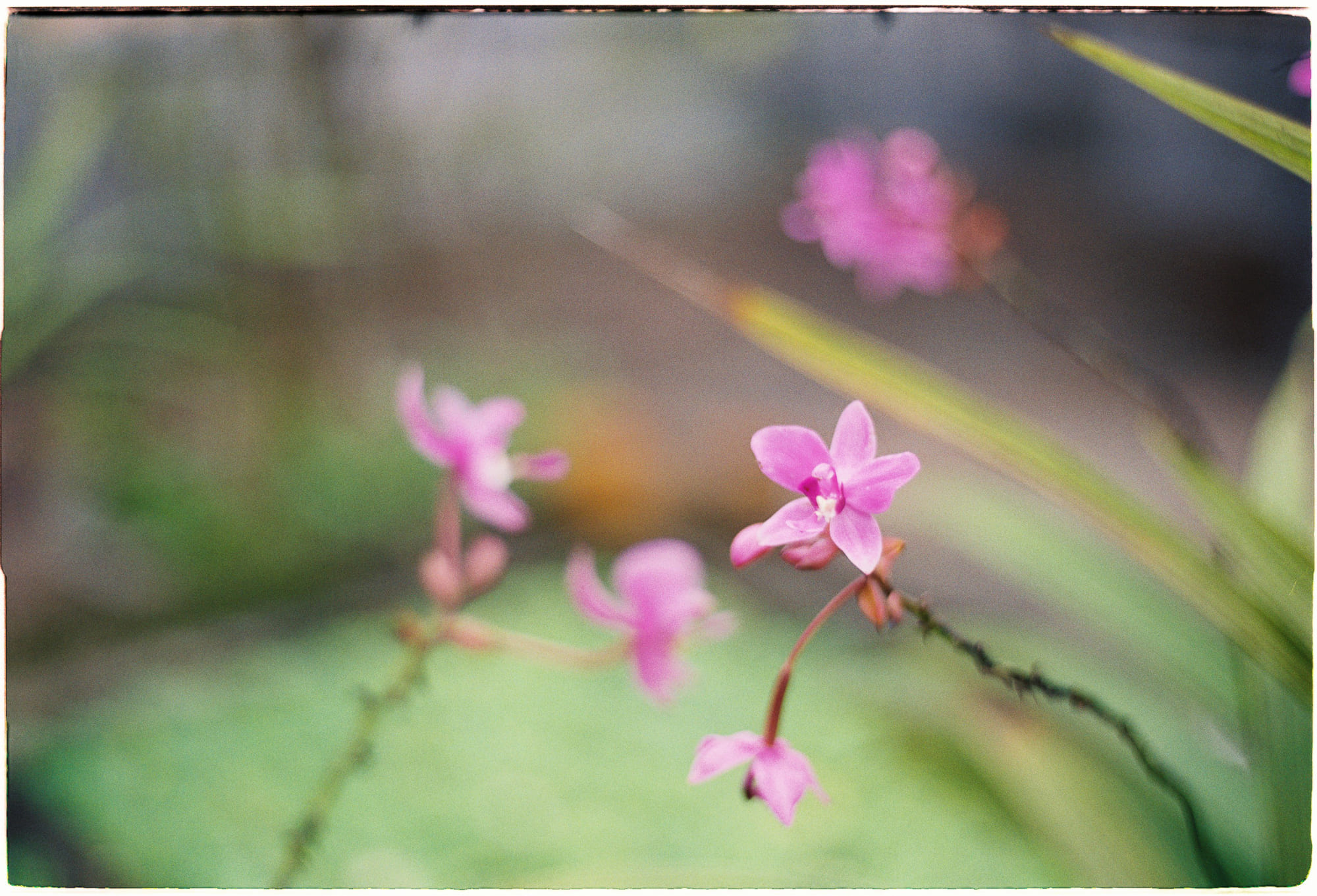 5 kiệt tác mở đường cho thể loại văn học mới 938 – tam ly hoc, gioi thieu sach, kiet tac van chuong, the castle of otranto, frankenstein, neuromancer, a universal history of infamy, the lord of the rings, horace walpole, william gibso, mary shelley, jorge luis borges, j.r.r. tolkien, kiet tac chuan muc.