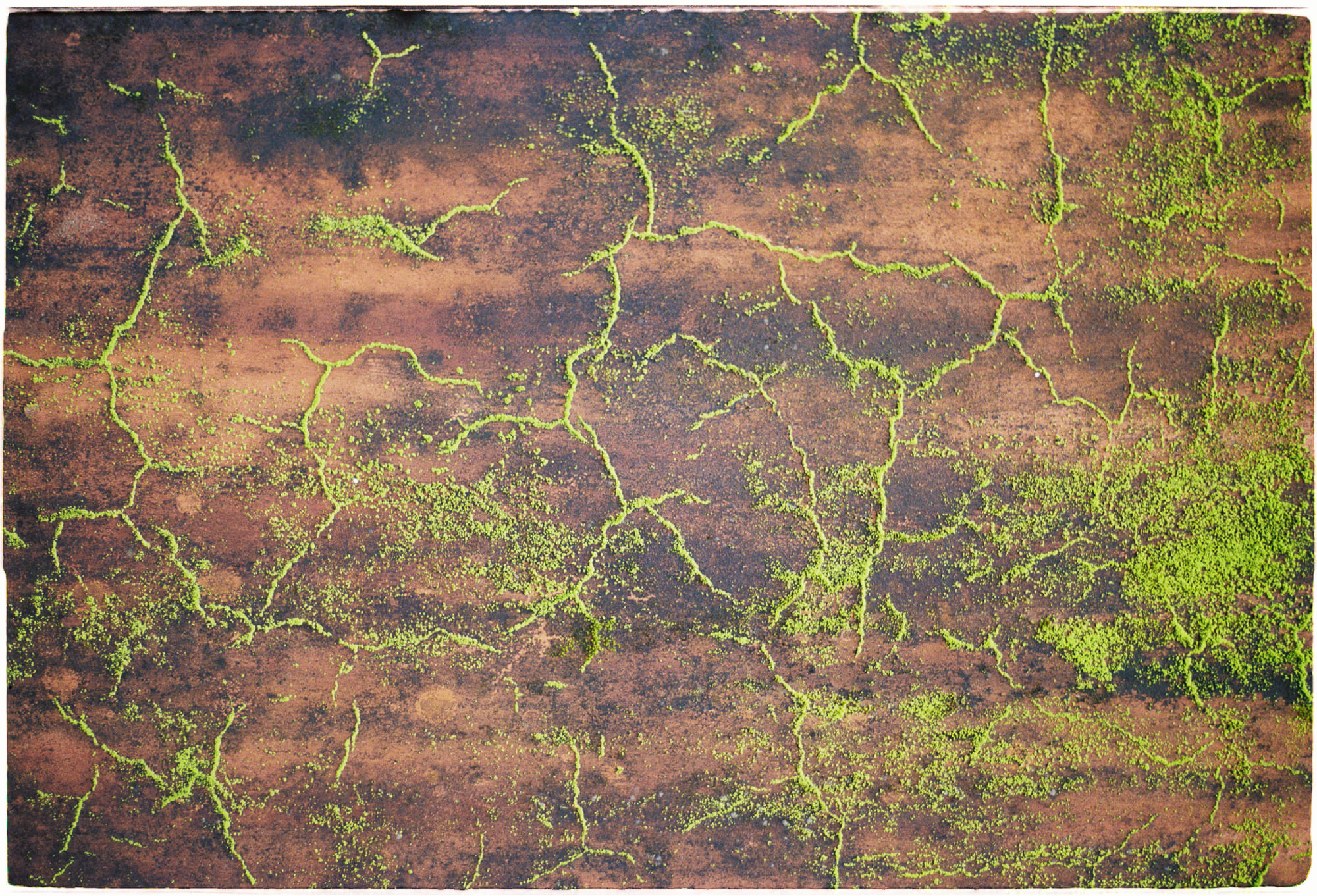 Những giải Nobel tồi tệ nhất trong lịch sử