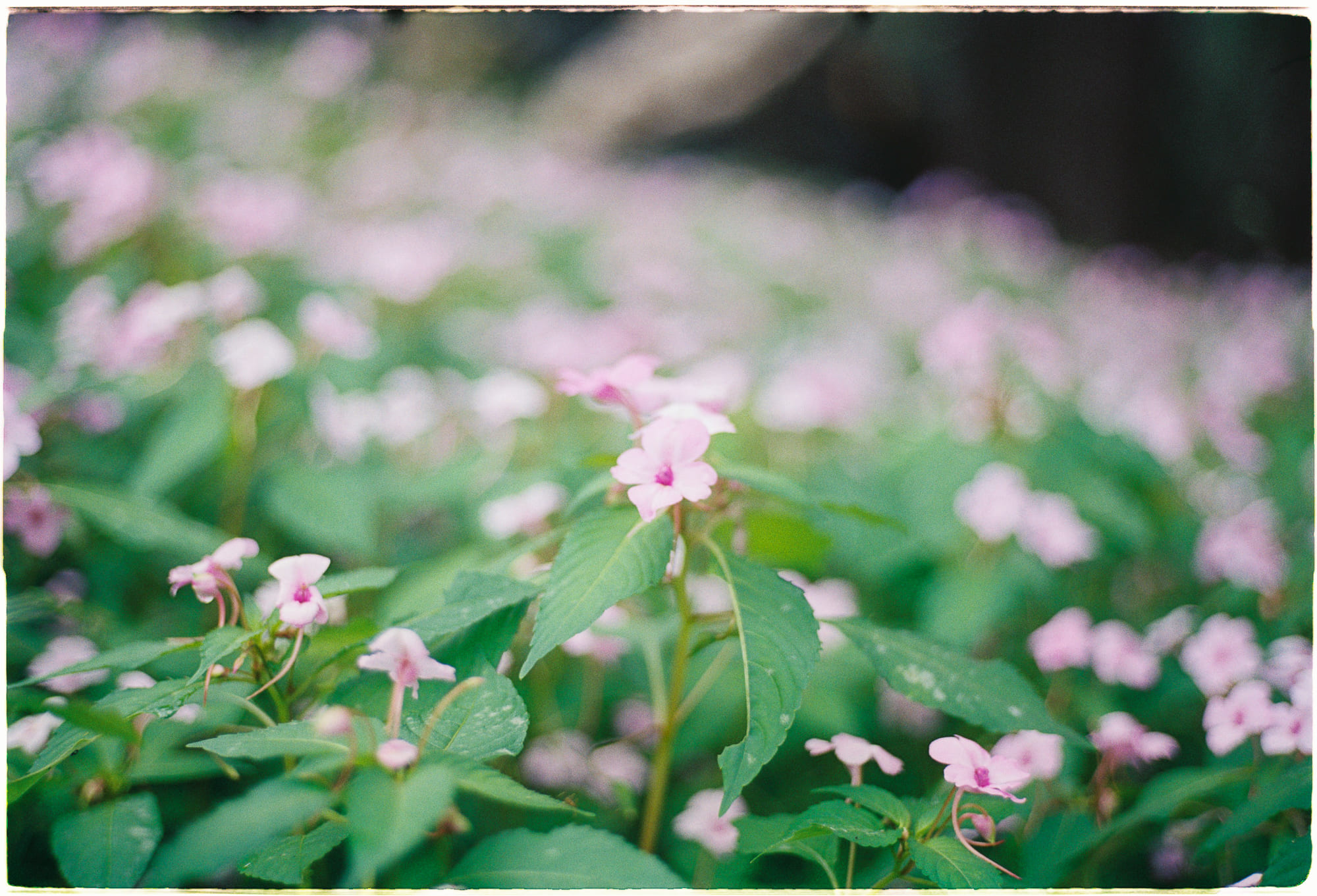 Danh sách theo thẻ bài nobel, trang 2