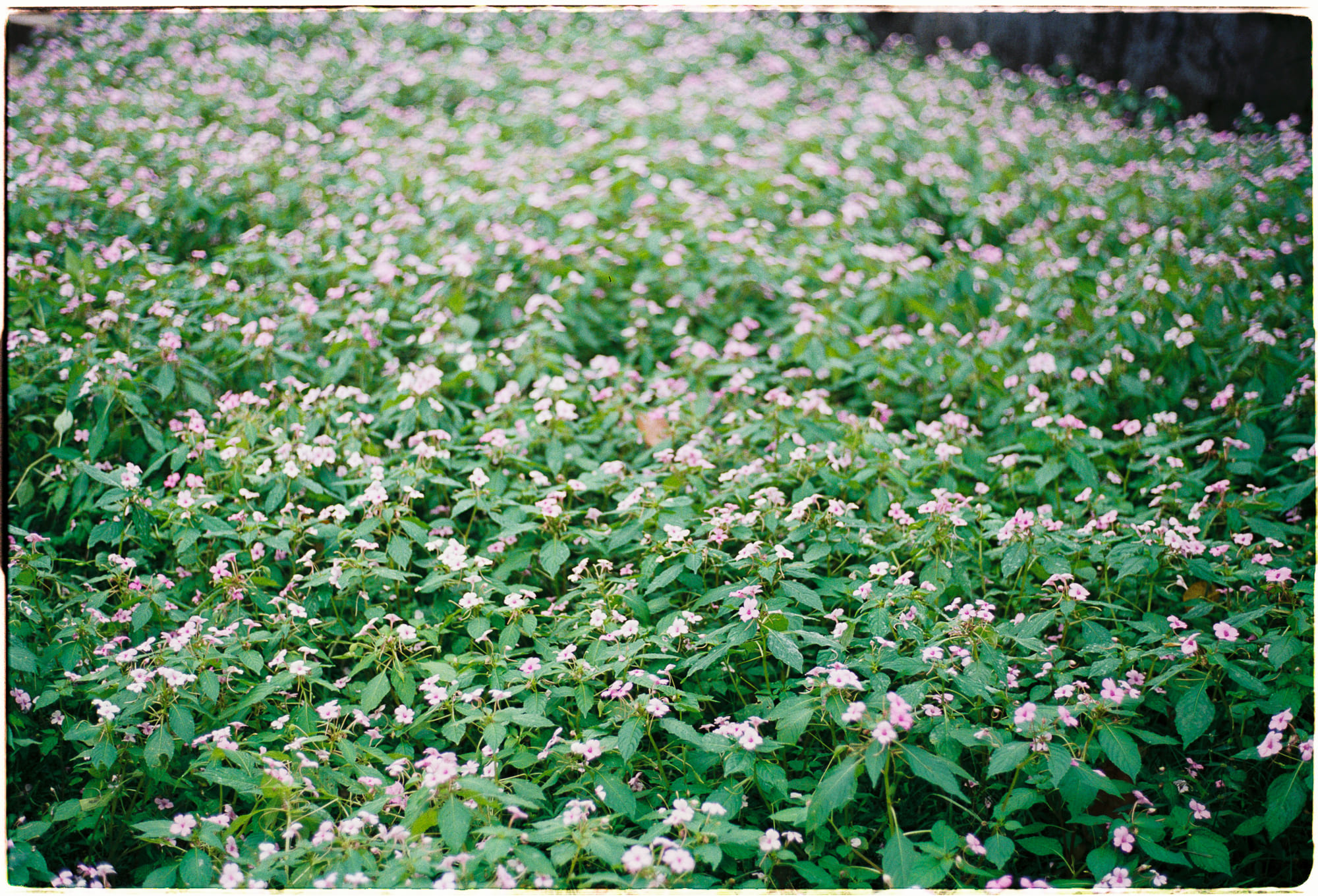 Tại sao vũ trụ giãn nở không phá vỡ tốc độ ánh sáng?