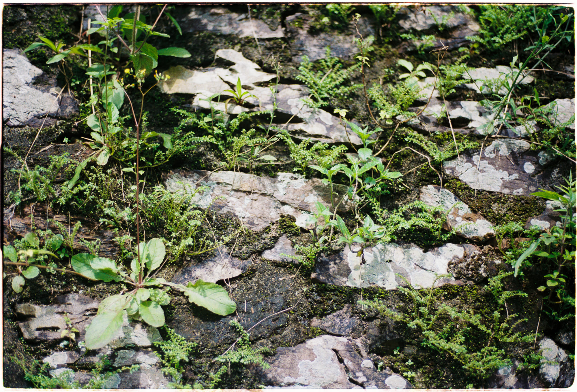 Trung tâm phát triển văn hóa đọc Nhà văn