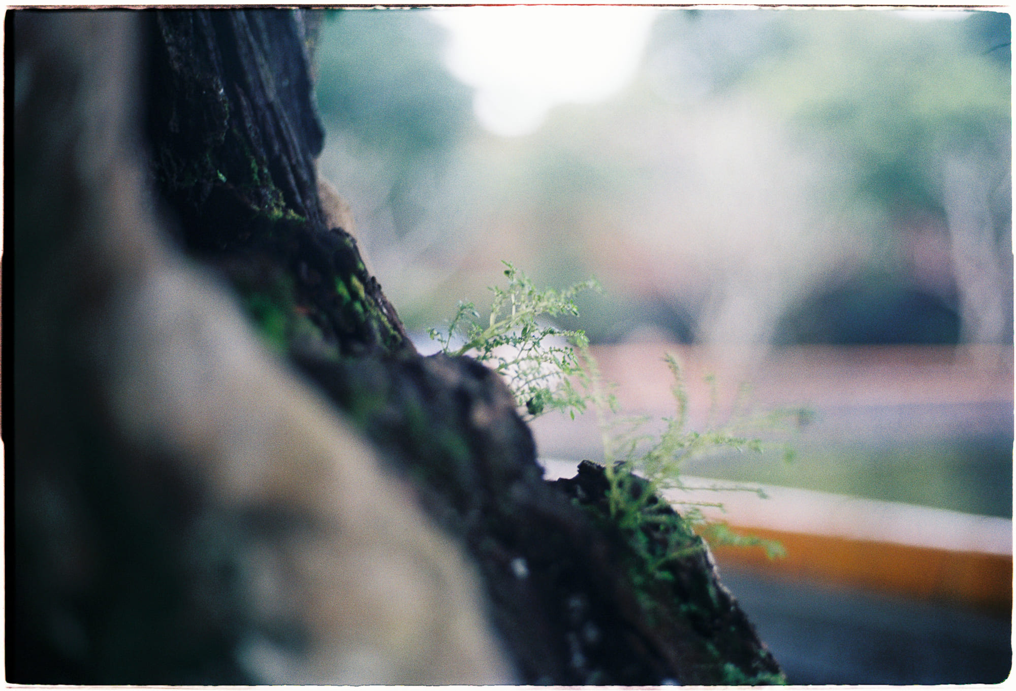 Sống có thực sự tốt hơn là chưa từng sinh ra?