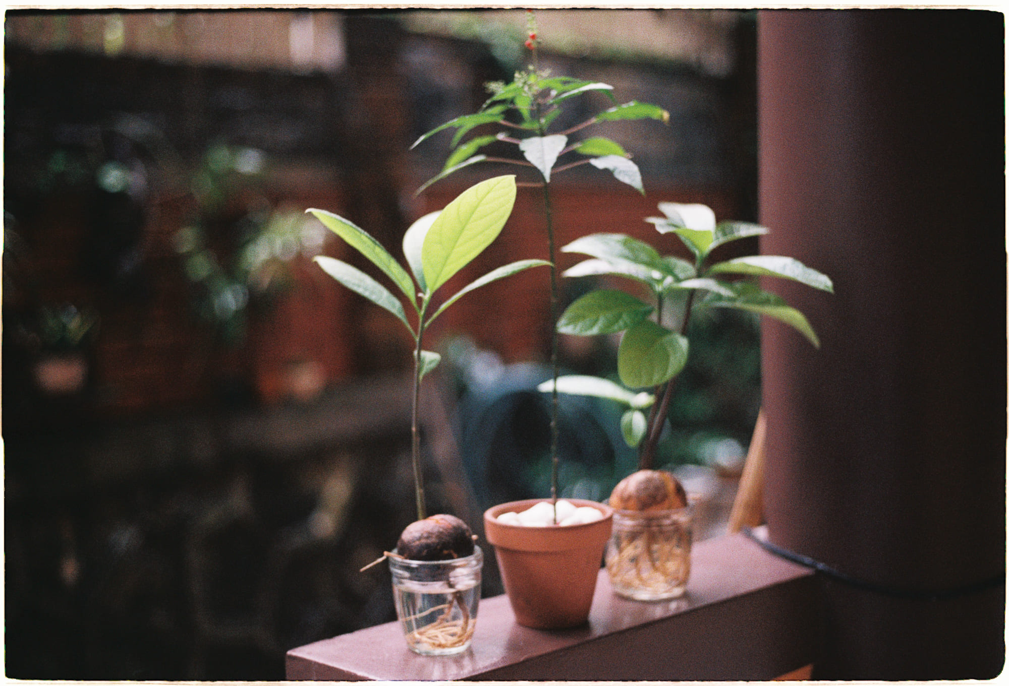 Tương lai tôn giáo lớn thuộc về phụ nữ