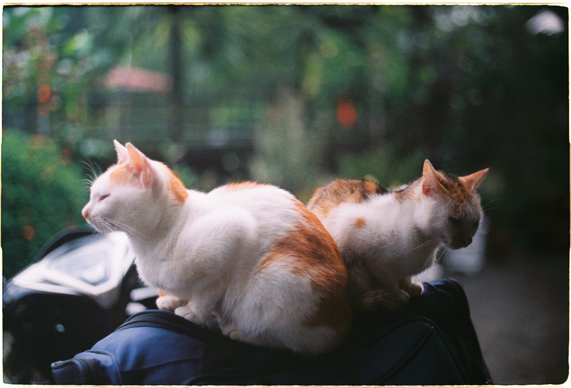 Đảm bảo luôn theo sát mục tiêu của mình