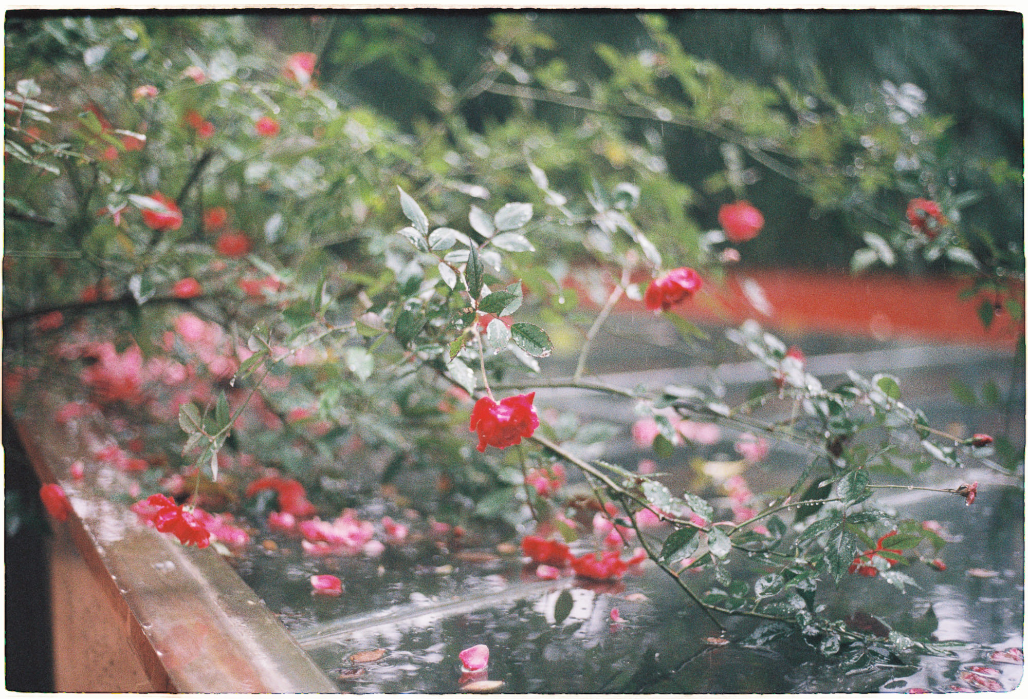 Trung tâm phát triển văn hóa đọc Nhà văn