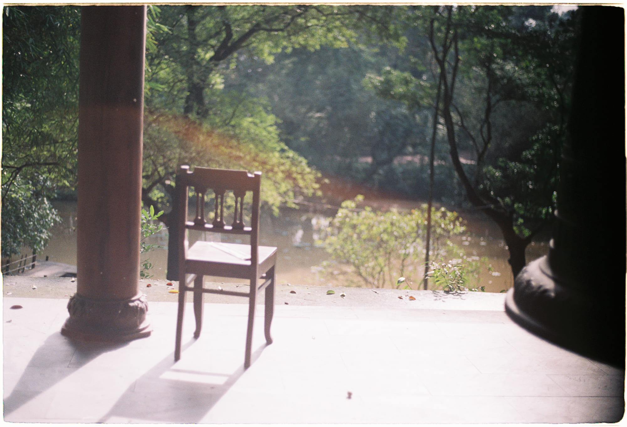 Con người chỉ chiếm 0,01% sự sống Trái Đất