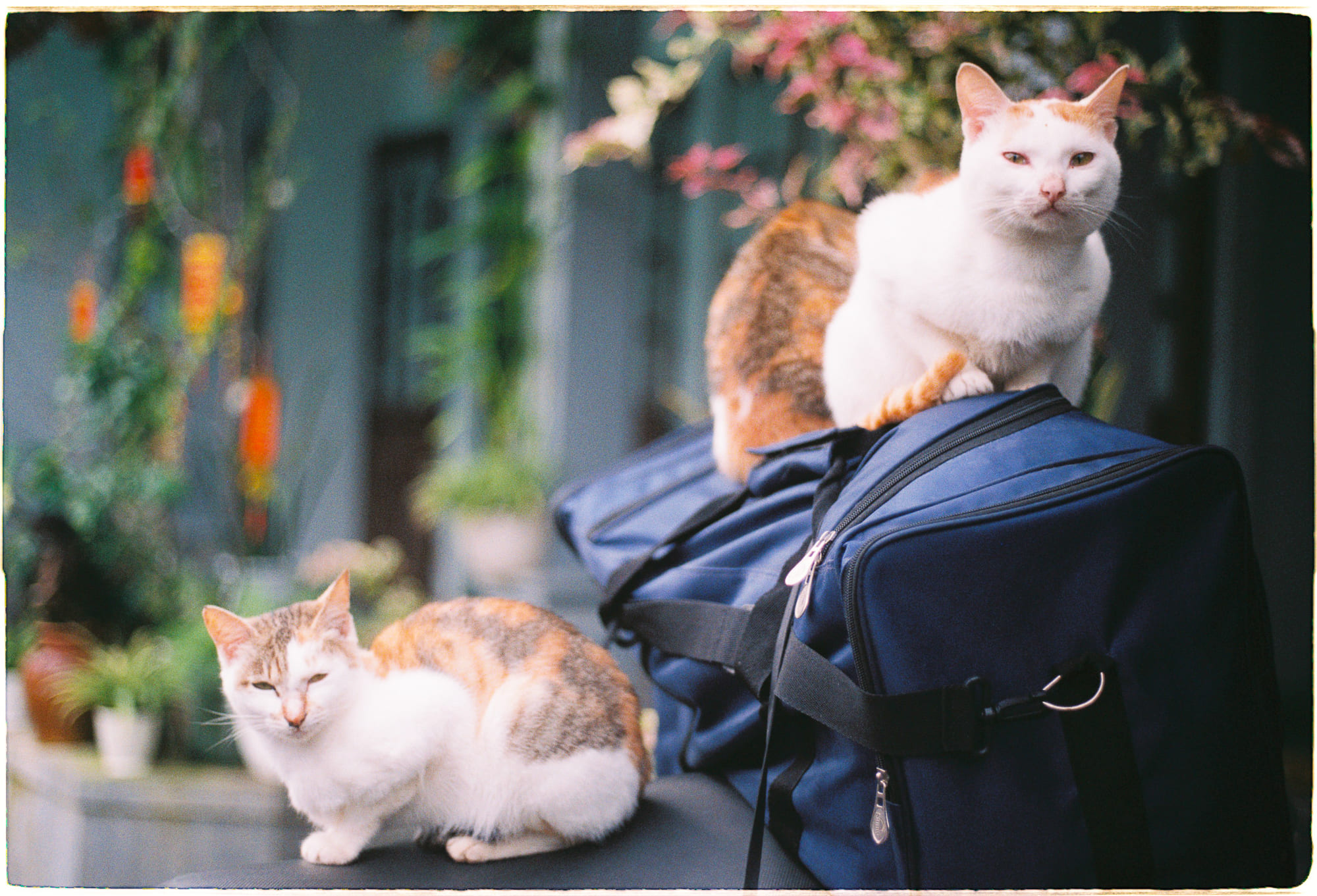 Thất bại thông minh là chìa khóa thành công 001 – khoa hoc, ky nang, ky nang chuyen mon, that bai thong minh, chia khoa thanh cong, thanh cong, tam ly hoc, nhan thuc ban than, cai thien ban than.