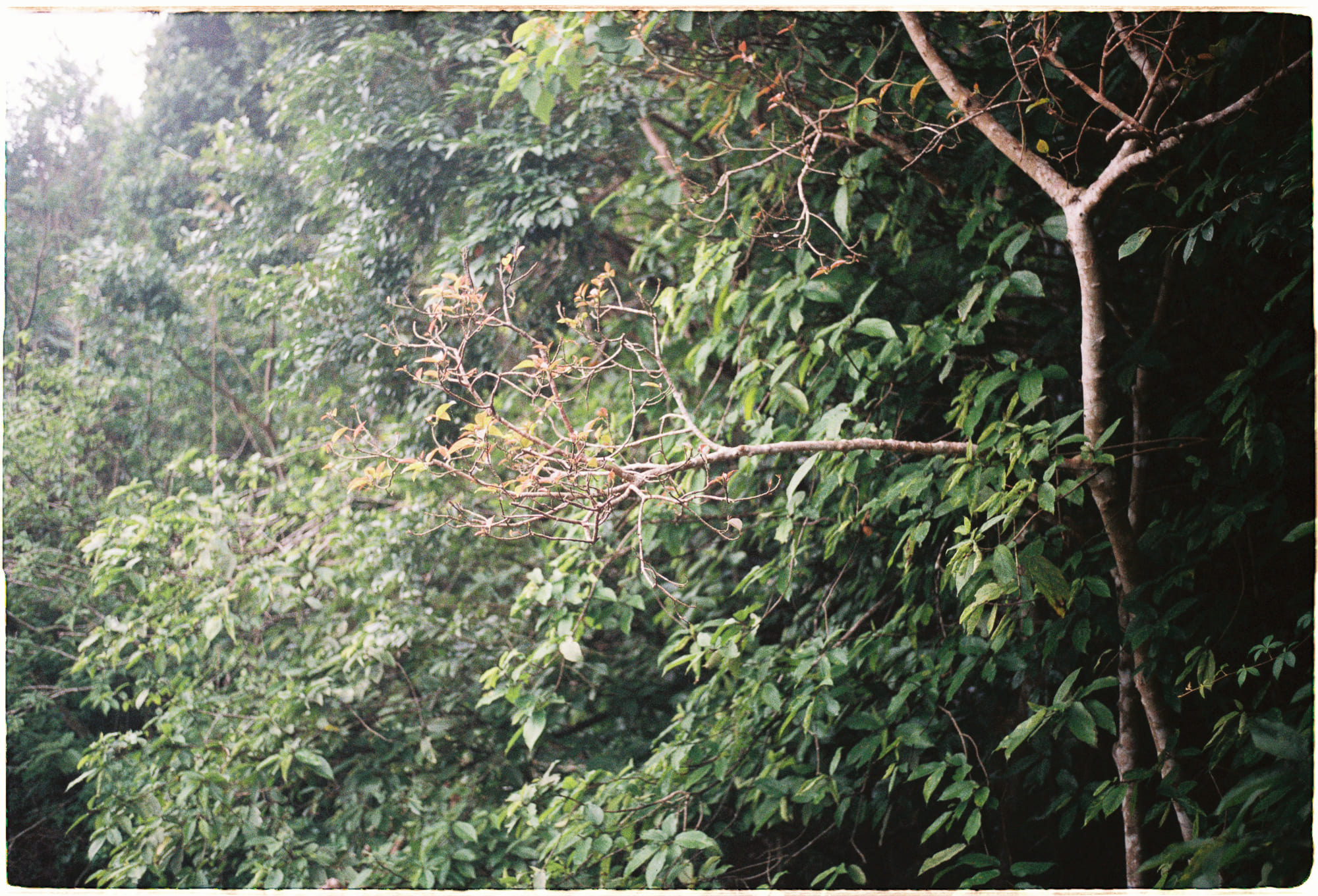 Vì sao Aristotle không phát minh khoa học hiện đại 199 – khoa hoc, triet gia, aristotle, lich su hien dai, khoa hoc hien dai.