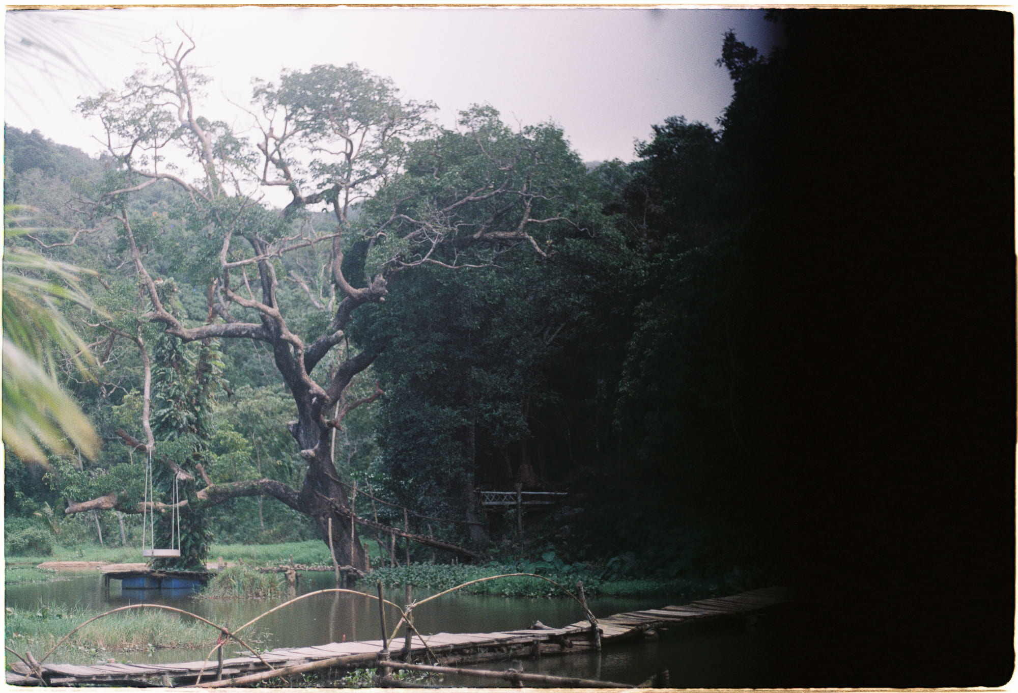 Tủ lạnh phá hủy ngành công nghiệp băng quốc tế 493 – khoa hoc, strauss howe, ly thuyet the he, nhan hoc, tu lanh nguy hiem.