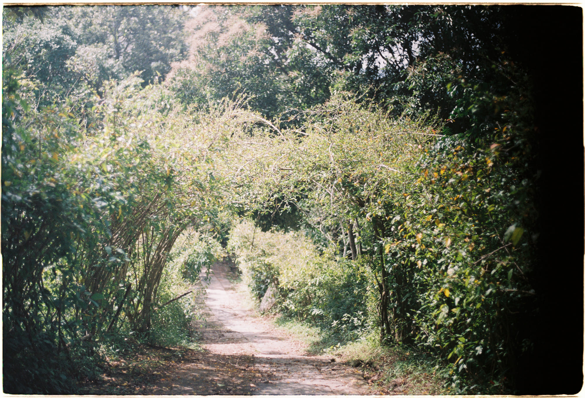 Điều gì đã xảy ra với giấc mơ về Xa lộ liên Mỹ?