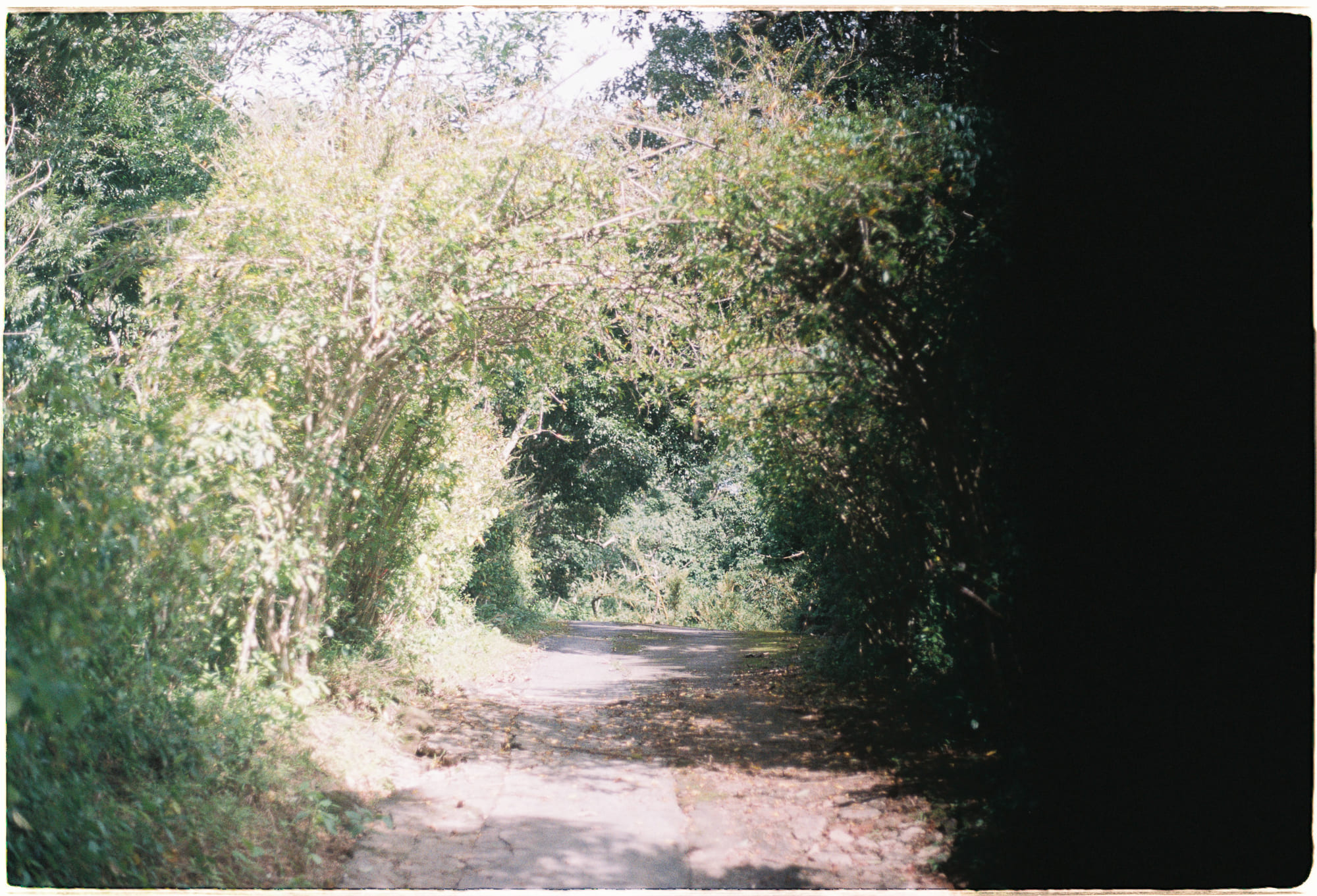 Tại sao dường như triết học đã chết?