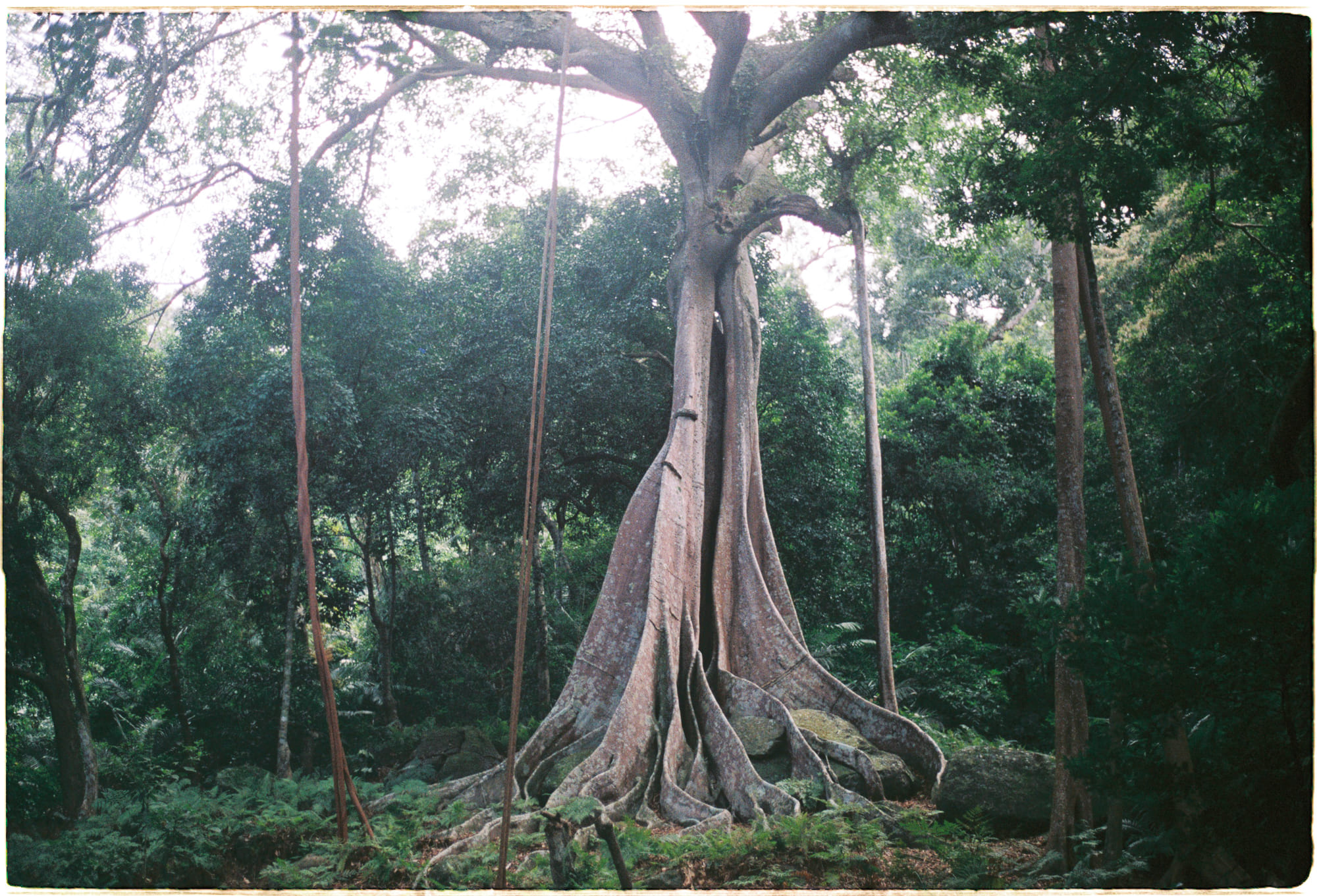 Kết cấu không gian là một con Mèo Cheshire 861 – khoa hoc, vu tru, vat ly thien van, khoa hoc vu tru, vat ly luong tu, luong tu hoc, ket cau khong gian, tam vai khong gian, fabric of space, con meo cheshire, meo cheshire, cheshire, cau truc khong gian.