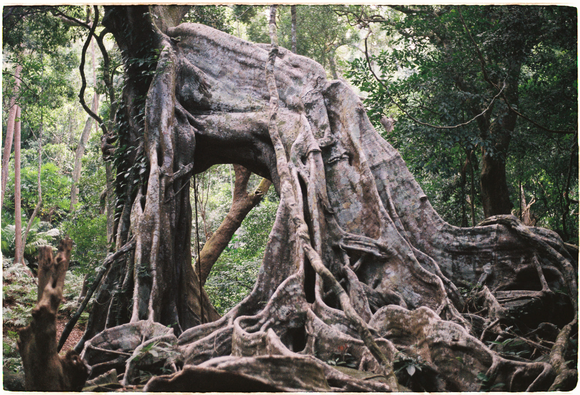 Sự thật trong trò chơi điện tử 937 – nghien cuu, tro choi dien tu, tro choi, su that, walt whitman, frank lantz, su that tro choi.