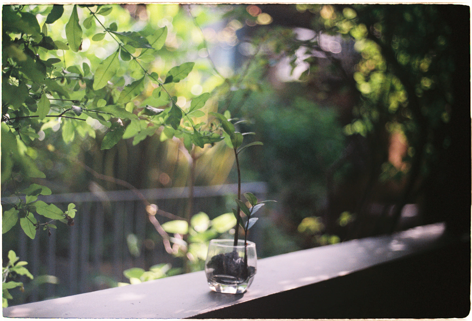 Tiềm năng chữa lành của âm thanh