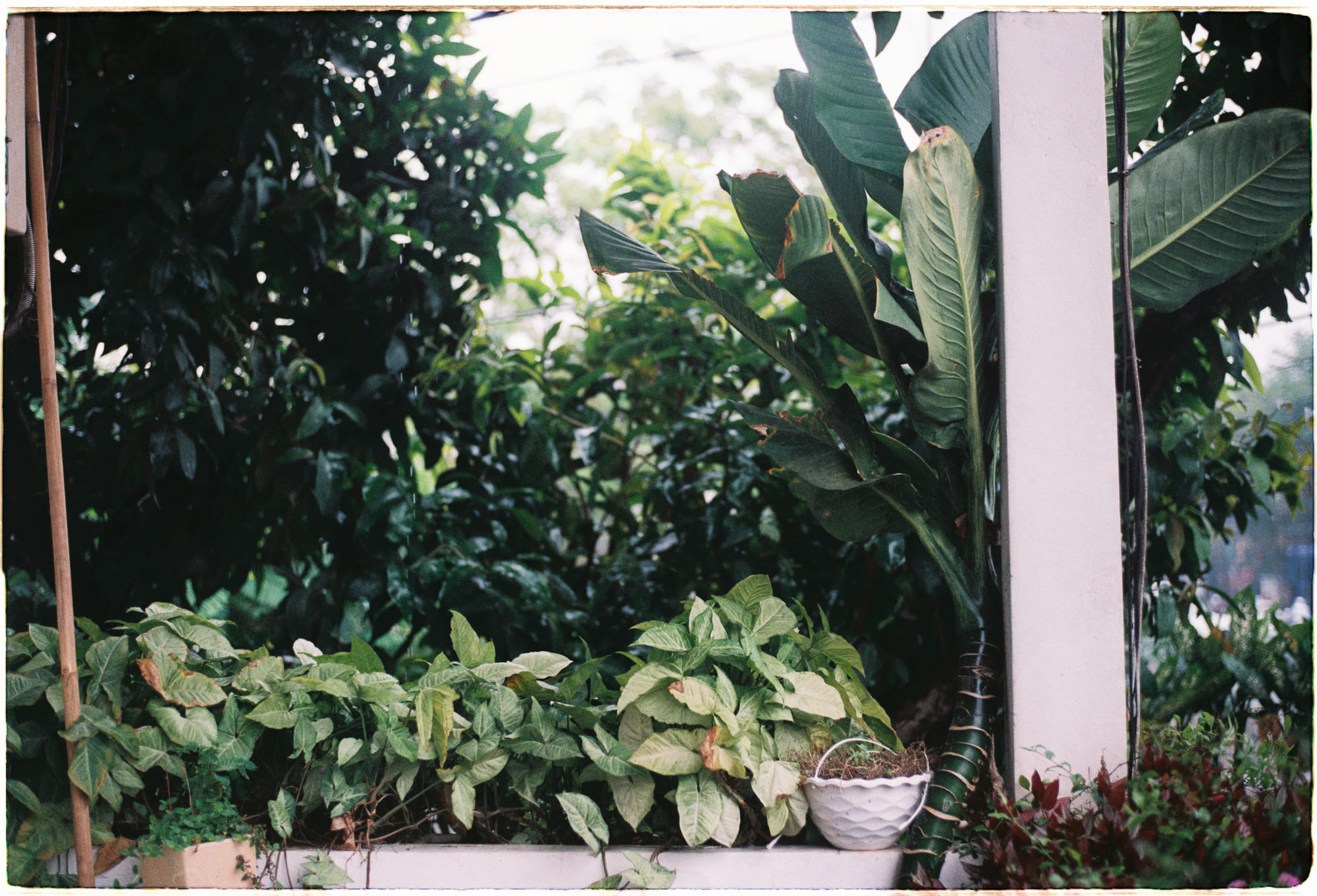 Con người trở thành loài động vật vị tha nhất