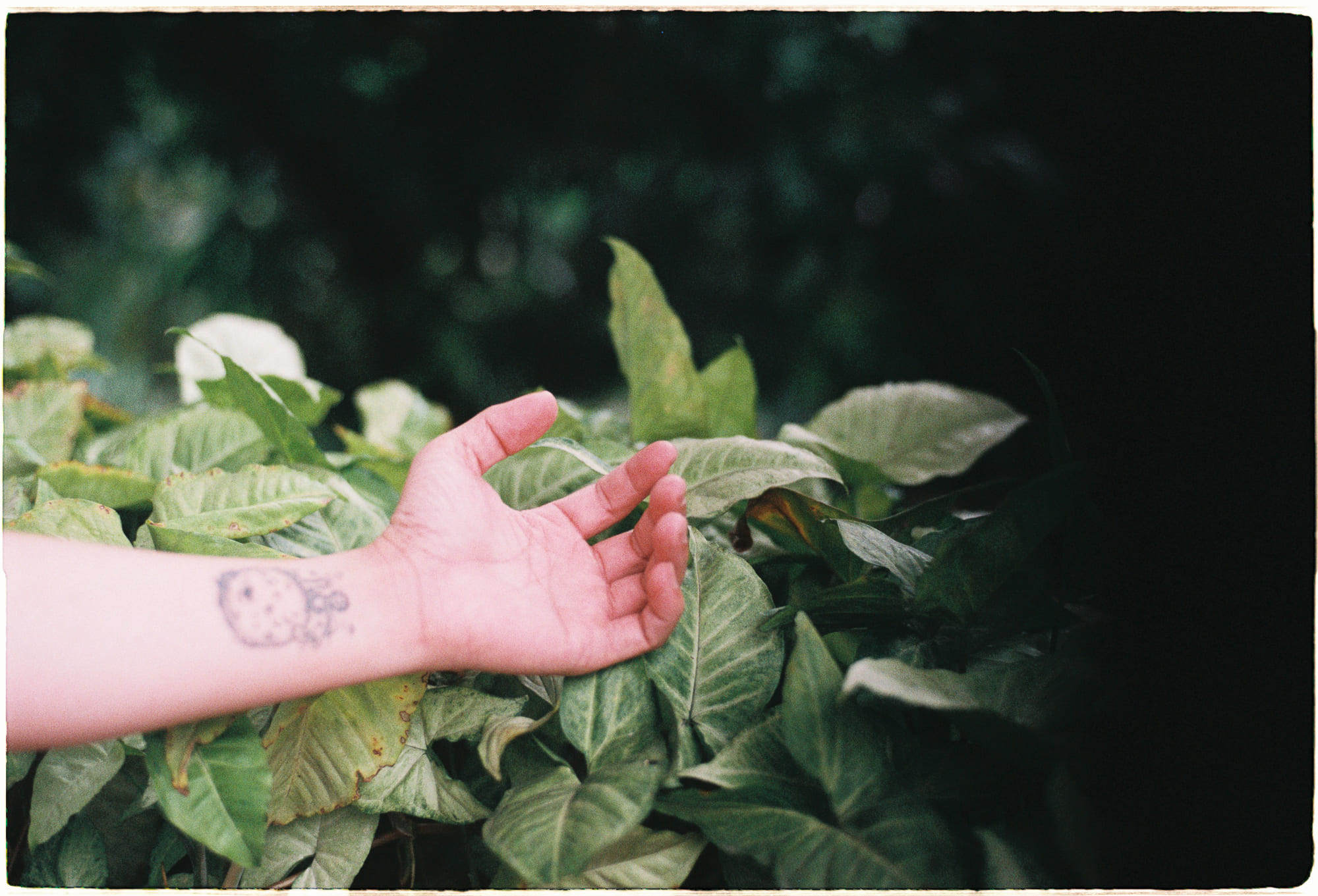 Lịch một trang thay đổi cách bạn nhìn nhận một năm