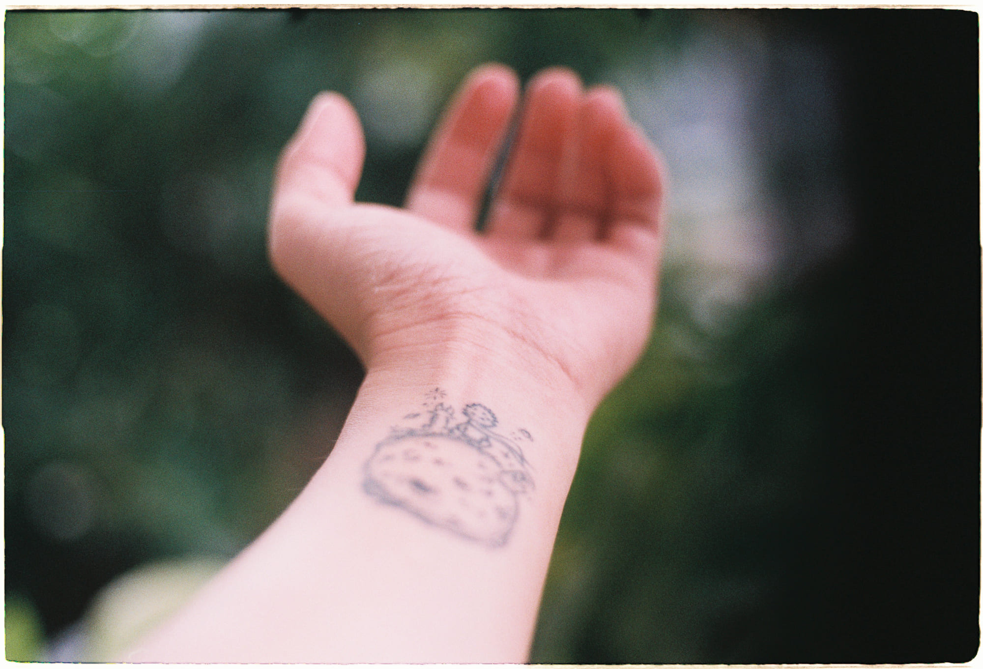 Hãy nghĩ như quạ, lựa chọn như cua ẩn sĩ