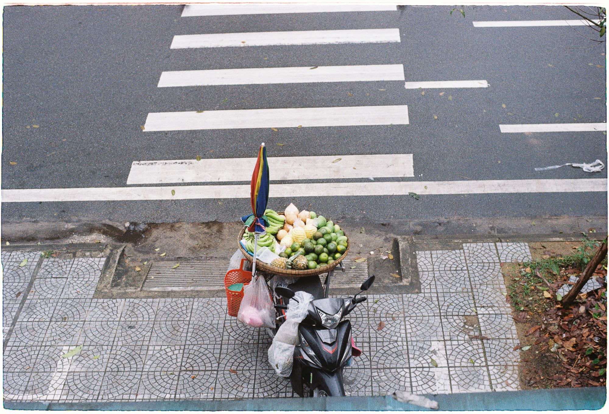 Bản năng bộ lạc cổ xưa đằng sau văn hóa nhân loại