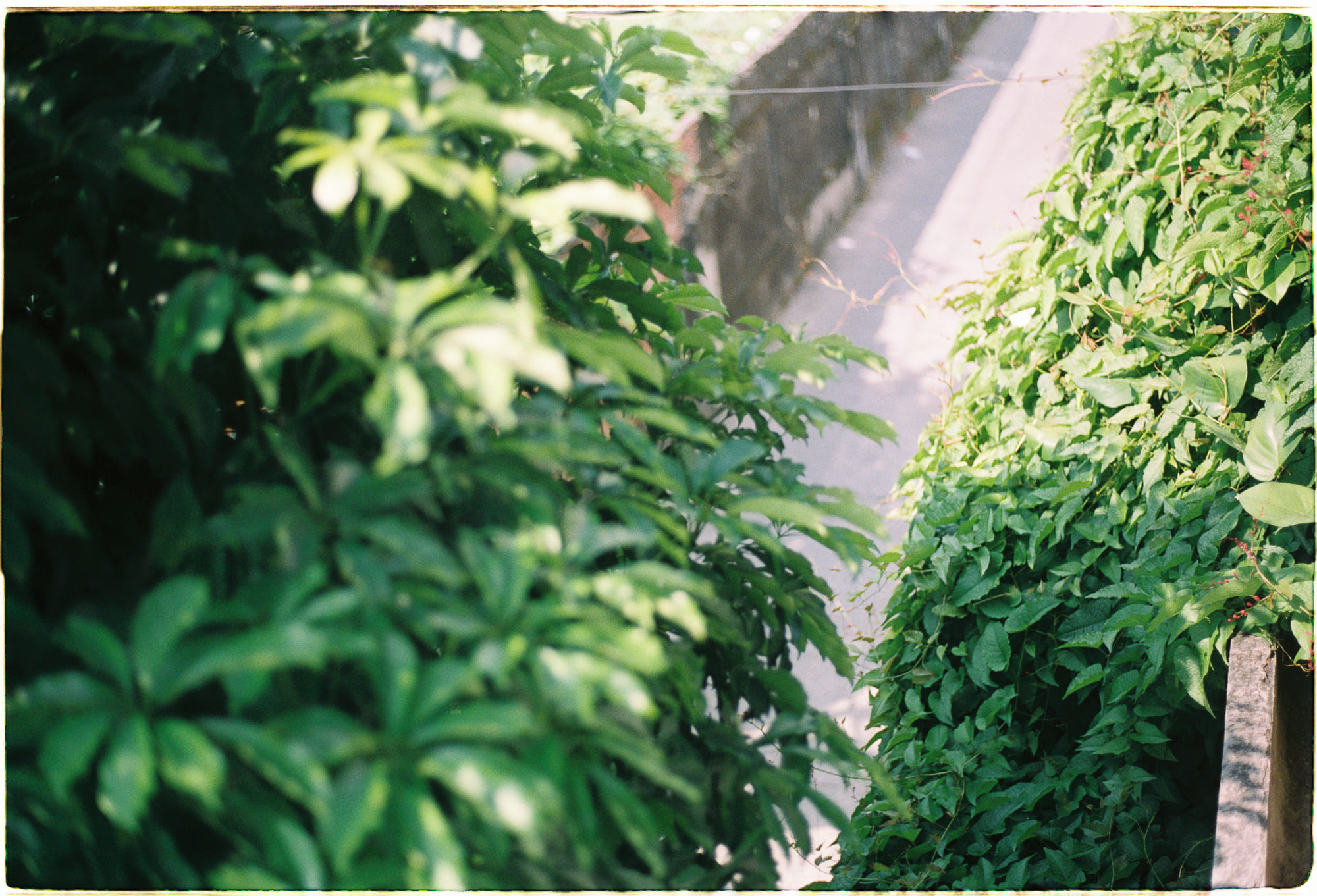 5 chuyện cười triết học có thể dạy bạn một điều gì đó