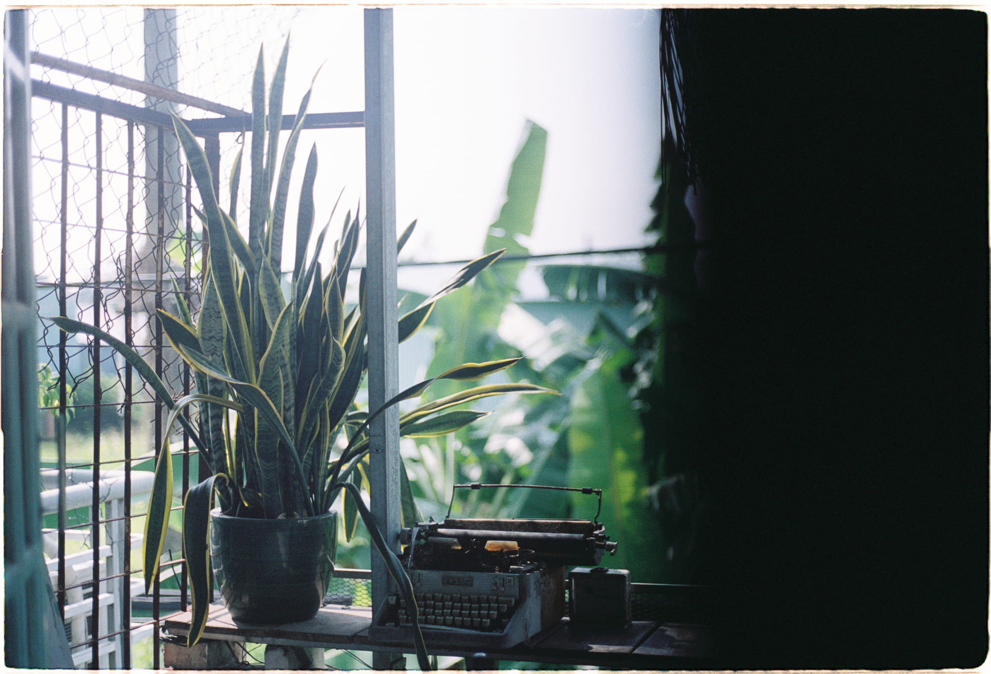 Tại sao âm nhạc làm giảm cảm giác đau thể chất?