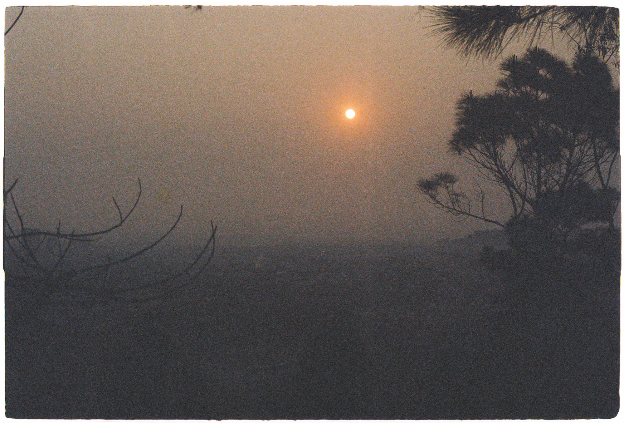 Sứ mệnh xoa dịu cơn đau mãn tính 106 – khoa hoc, xa hoi hoc, sinh hoc, y hoc, giam dau, giam dau man tinh.