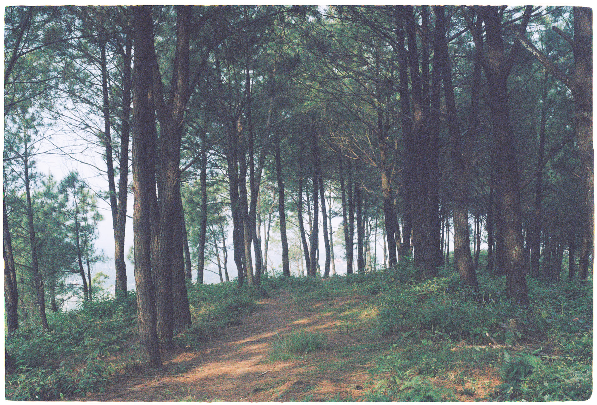 Chekhov và ký ức