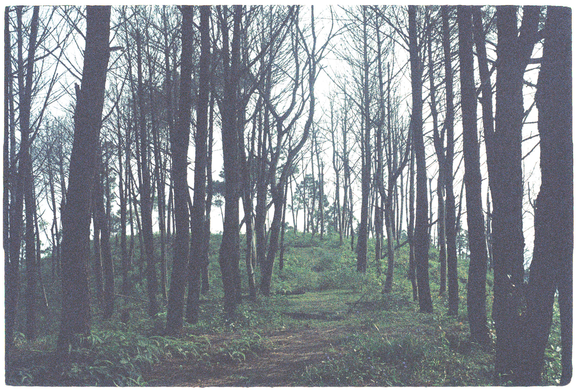 Câu trả lời về chúa dành cho Nietzsche Câu trả lời về chúa dành cho Nietzsche 104 – xa hoi hoc, tam ly hoc, ton giao, triet hoc, chua troi, thien chua giao, nietzsche, übermensch, søren kierkegaard, chu nghia hien sinh, chua troi tra loi.