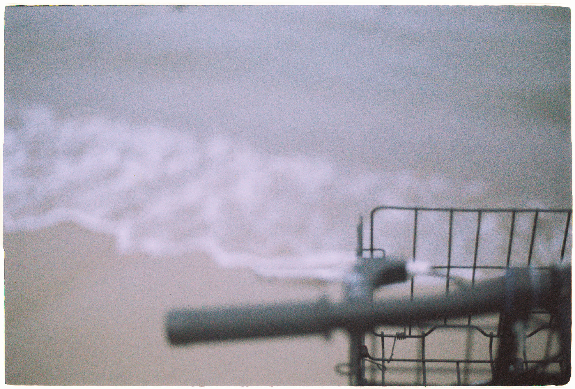 Sự xuất hiện của tư duy từ vi khuẩn đến con người