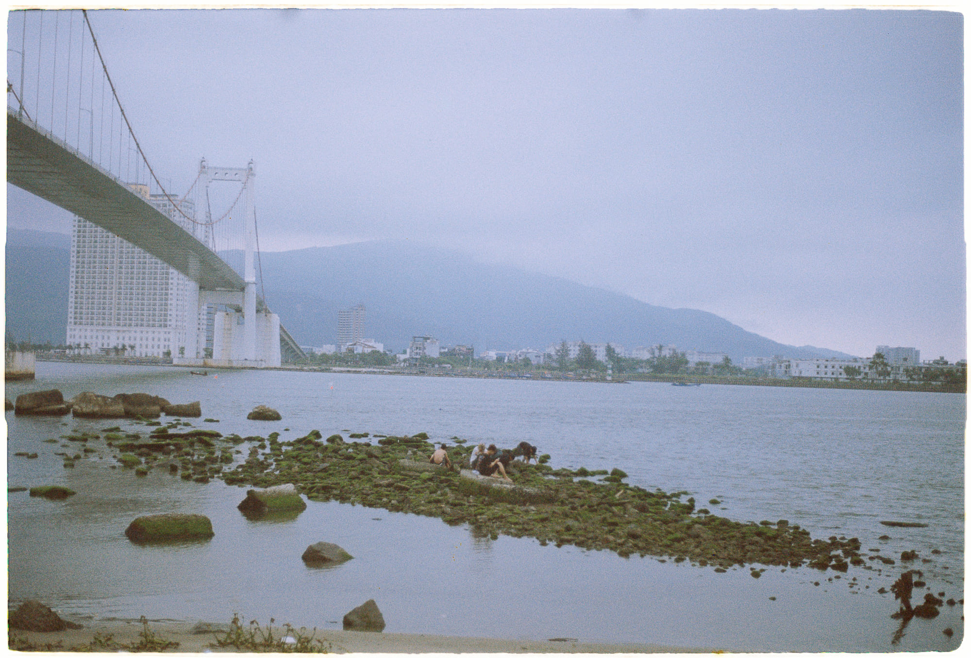 Bí ẩn về những chuột băng phủ đầy rêu và tự di chuyển