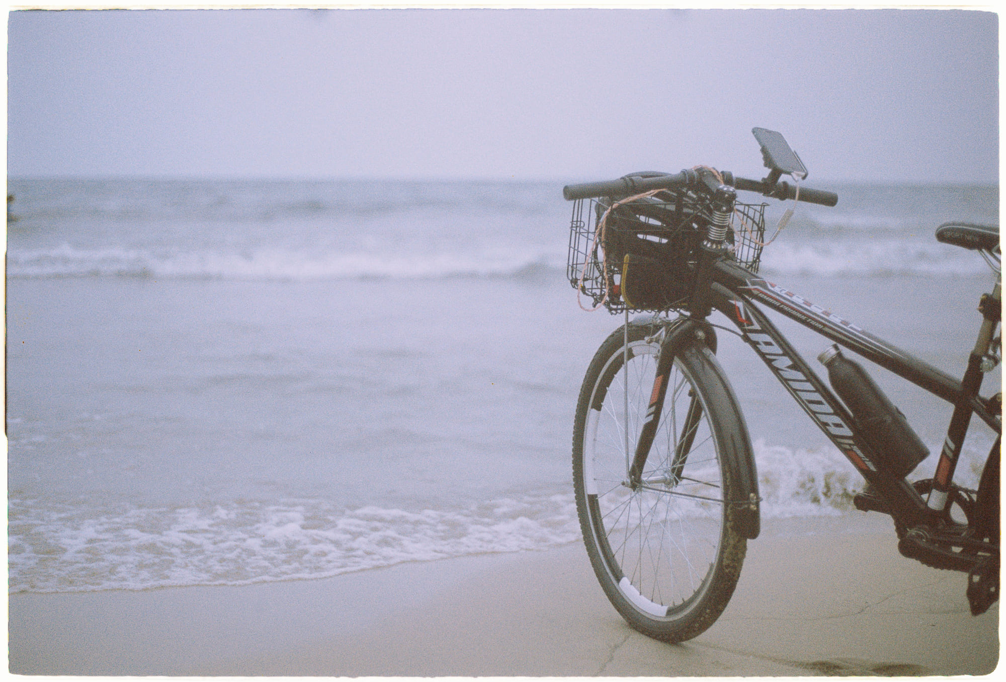 Vì sao đàn chim bay lượn cùng nhau trên trời